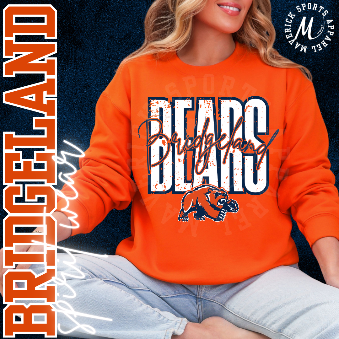 Bears Bridgeland Bears Bold/Script