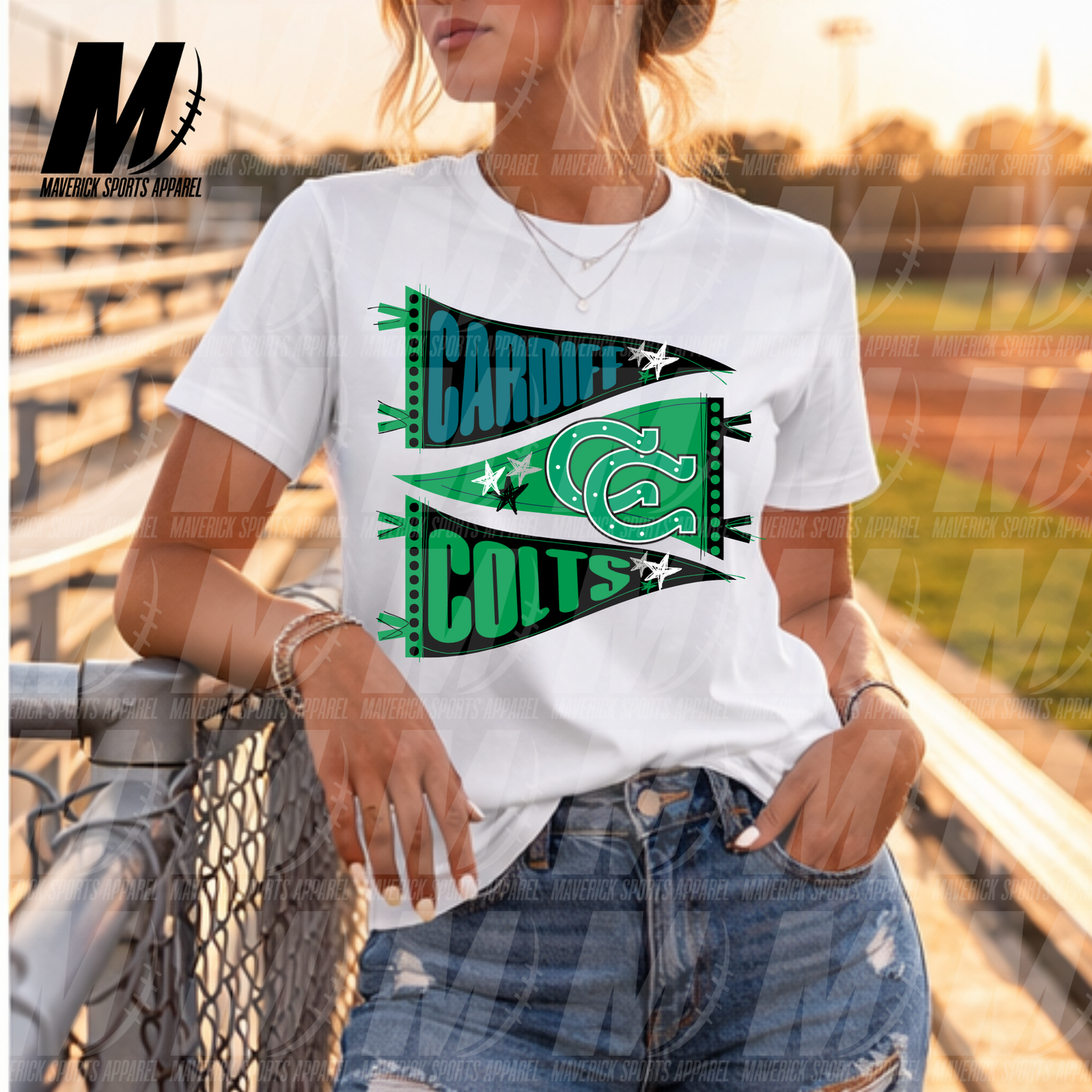 Cardiff Colts Game Day Pennant – Soft Tek Series